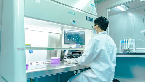 加速基因药物临床应用 广州打造腺相关病毒超级工具库